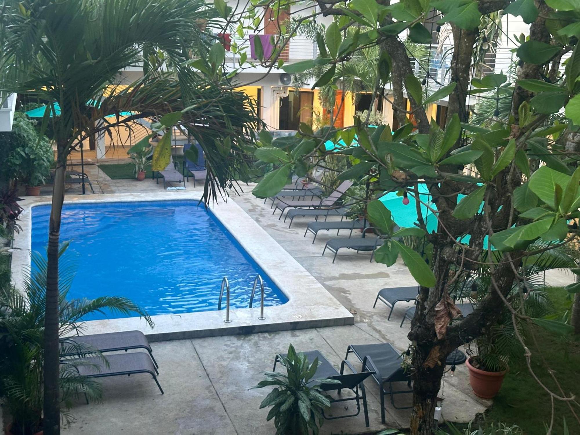 Private Fully Furnished Home At Wide Mouth Frog Hostel Quepos Luaran gambar